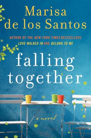 Cover of the book Falling Together by Glen Erik Hamilton