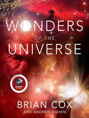 Cover of the book Wonders of the Universe by Rachel Felder