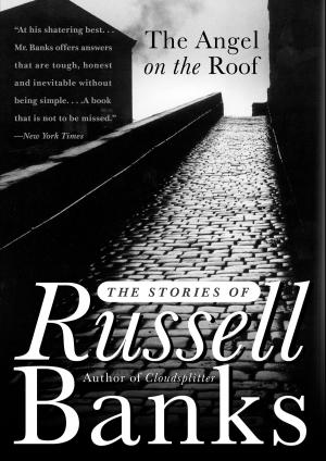 Cover of the book The Angel on the Roof by Rachel B. Glaser