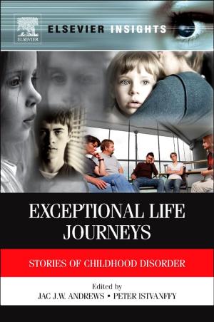 Cover of the book Exceptional Life Journeys by Scott Hipsher