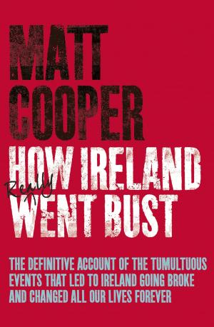 Cover of the book How Ireland Really Went Bust by Michael Broad