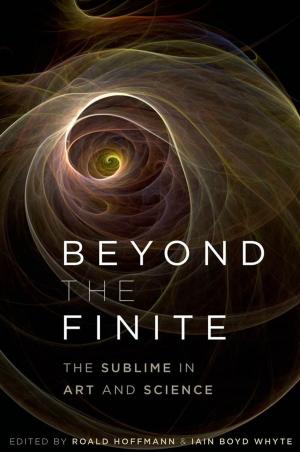 Cover of the book Beyond the Finite by Vincent Sherry
