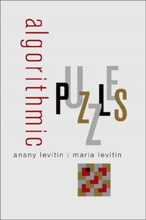 Cover of the book Algorithmic Puzzles by Charlotte Linde