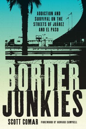 Cover of the book Border Junkies by Regina Harrison