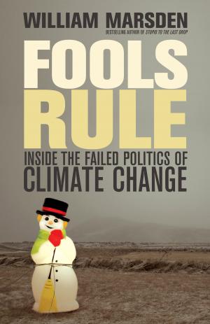 Cover of the book Fools Rule by Anosh Irani