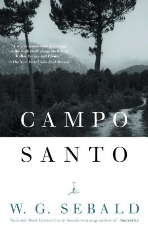 Book cover of Campo Santo