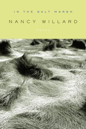 Cover of the book In the Salt Marsh by Richard Kluger