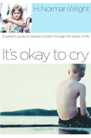 Cover of the book It's Okay to Cry by David C. Needham