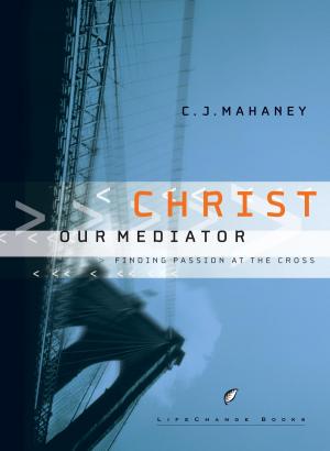 Cover of the book Christ Our Mediator by Dr Bev Wolmarans