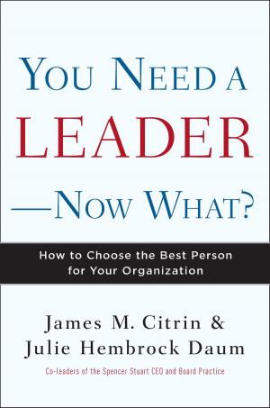 Book cover of You Need a Leader--Now What?