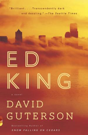 bigCover of the book Ed King by 
