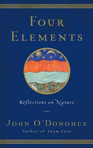 Cover of the book Four Elements by J. J. Van Der Leeuw