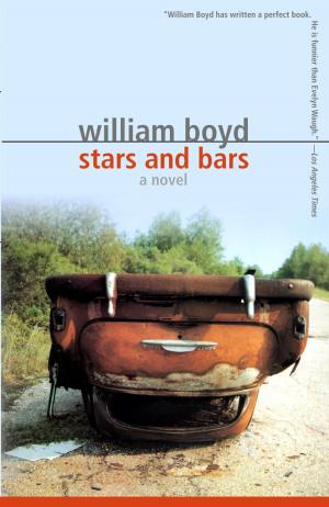 Cover of the book Stars and Bars by Billie Jean King