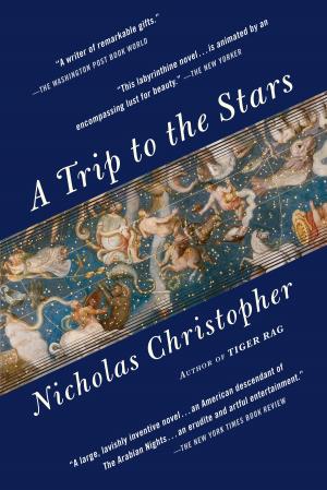 Book cover of A Trip to the Stars