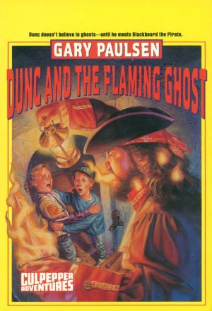 Cover of the book DUNC AND THE FLAMING GHOST by The Princeton Review