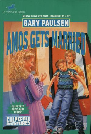 Cover of the book Amos Gets Married by Tom Avery