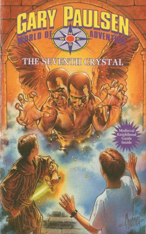 Cover of the book The Seventh Crystal by Erin Vincent