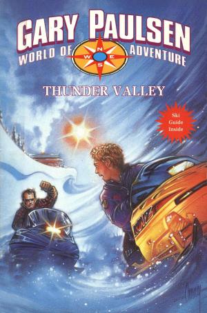 Cover of the book THUNDER VALLEY by Sue Limb