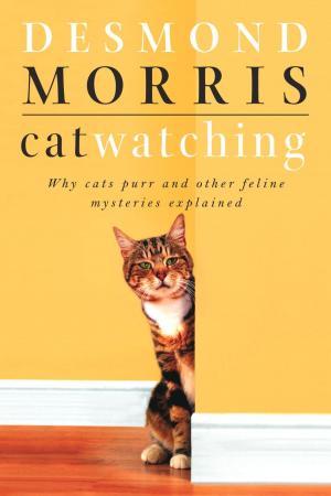 Cover of the book Catwatching by Jeannine Yesko