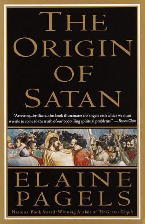 Cover of the book The Origin of Satan by Janetra Johnson