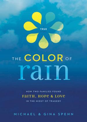 Cover of the book The Color of Rain by Various Authors
