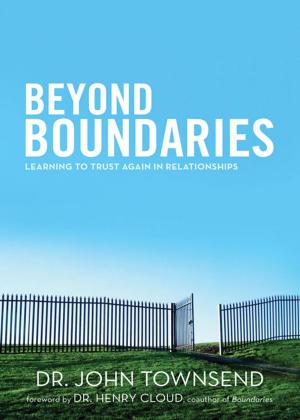 Cover of the book Beyond Boundaries by Shauna Niequist