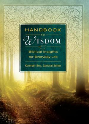 Cover of the book Handbook to Wisdom, eBook by Jess Connolly