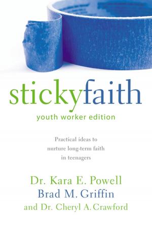 Book cover of Sticky Faith, Youth Worker Edition