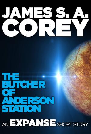 Cover of the book The Butcher of Anderson Station by Robert Lyndon
