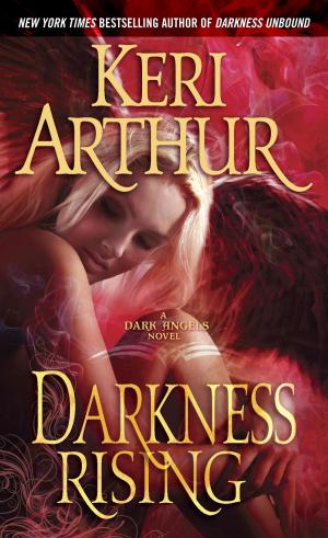 Cover of the book Darkness Rising by Sarah Susanka