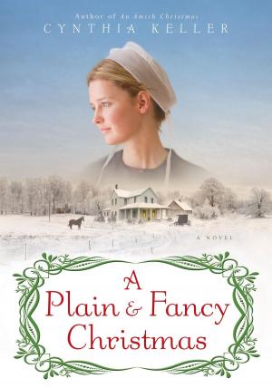 Cover of the book A Plain &amp; Fancy Christmas by Rita Mae Brown