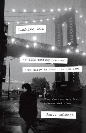 Cover of the book Lucking Out by Morton Hunt