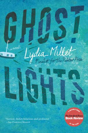Book cover of Ghost Lights: A Novel