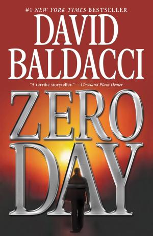 Cover of the book Zero Day by Vicky Dreiling