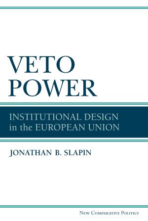 Cover of the book Veto Power by Attelstan Suresh Canagarajah