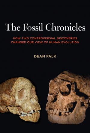Cover of the book The Fossil Chronicles by Kerin O’Keefe