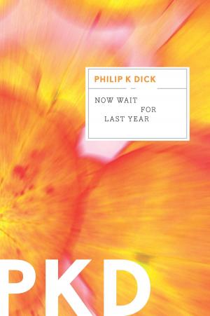 Cover of the book Now Wait for Last Year by Peter Novick