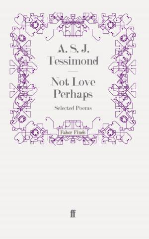 Cover of the book Not Love Perhaps by Rupert Christiansen