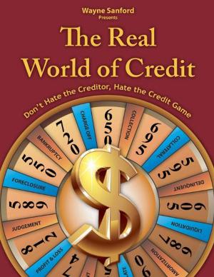 Cover of the book The Real World of Credit by B C