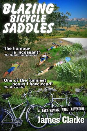 Cover of Blazing Bicycle Saddles