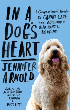 Cover of the book In a Dog's Heart by Rachel Joyce