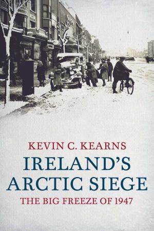 Book cover of Ireland's Arctic Siege: The Big Freeze of 1947