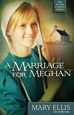 Cover of the book A Marriage for Meghan by Cheryl Moeller