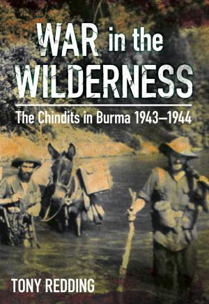 Book cover of War in the Wilderness