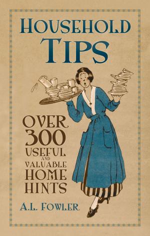 Cover of the book Household Tips by Chris Frame, Rachelle Cross