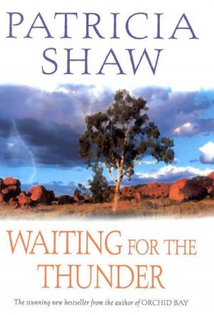 Book cover of Waiting for the Thunder