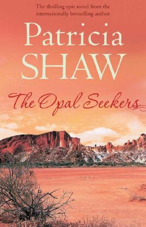 Cover of the book The Opal Seekers by Kaushy Patel