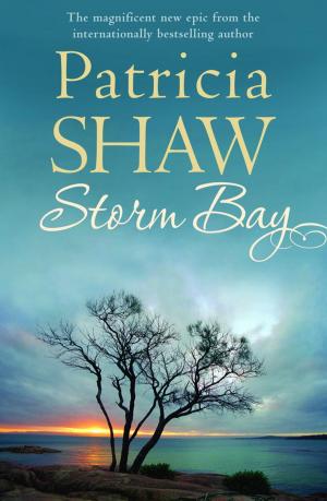 Cover of the book Storm Bay by Paul Doherty