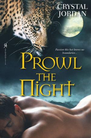 Cover of the book Prowl the Night by Peggy Webb