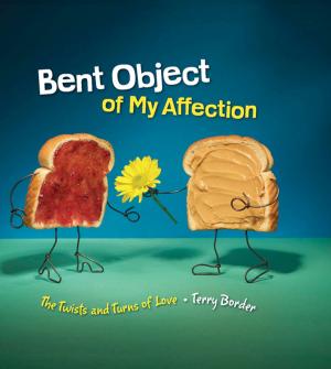 Cover of the book Bent Object of My Affection by Maria E. Andreu